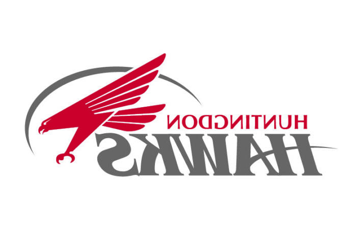 Hawks logo with words